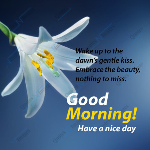 A white-yellow single hanging flower sick attached with blue background, foreground text Good Morning-Have a nice day