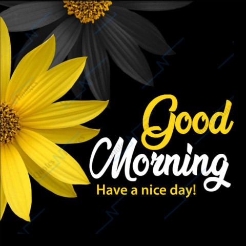 Yellow black flowers background image for wish Good Morning - Have a nice day