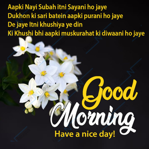 Black background white beautiful flowers with Hindi quotes to wish Good Morning - Have a nice day