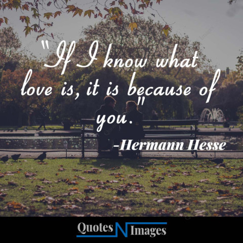 Love quotes written by Hermann Hesse | A romantic couple is sitting by a lake in a garden