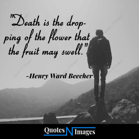 Sad Quotes - written by "Henry Ward Beecher" Death is the dropping of the flower that the fruit may swell