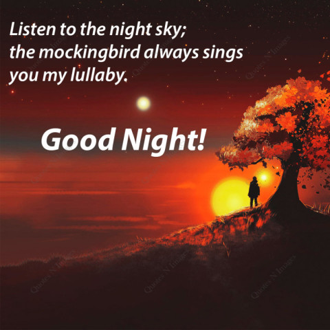 Good Night - Listen to the night sky; the mockingbird always sing you my lullaby.