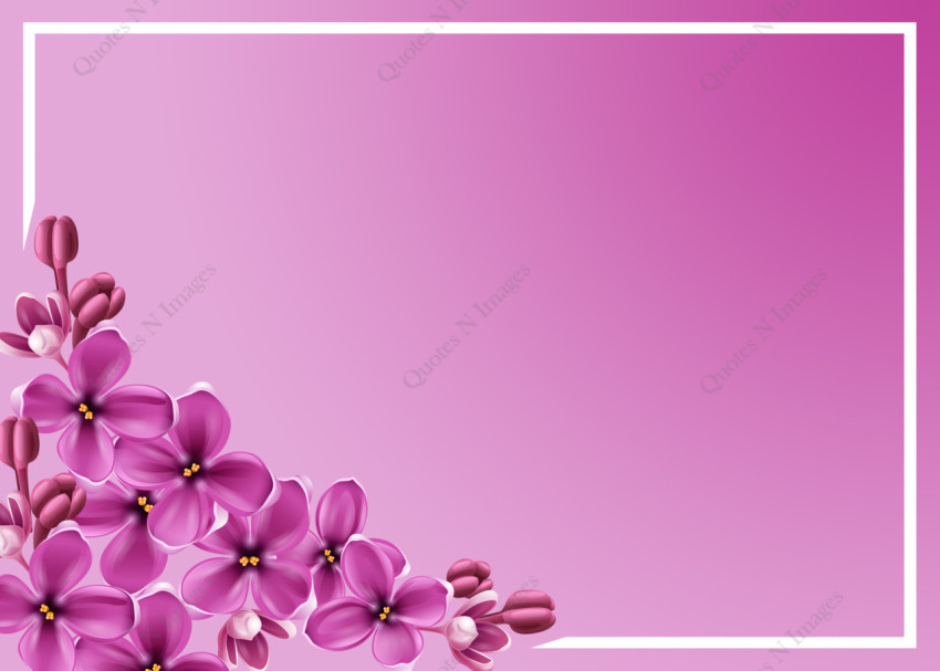 Violet Flower Background with white border